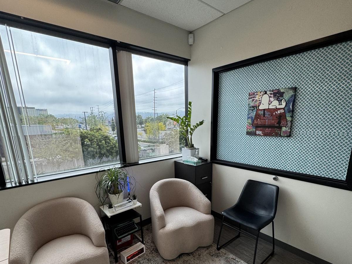 Private consultation office corner — warm seating area with natural light, plants, and art